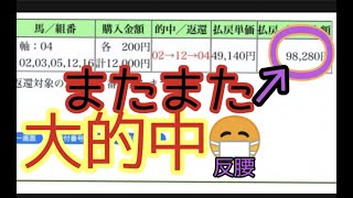 【反腰の読み上げ競馬予想】8/18 流星賞競走　大井11R・ペリドットスプリント　船橋11 R・エピファネイアプレミアム　門別11 R