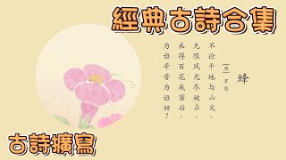 經典中國古詩合集(四) 💗Chinese Classical Poetry｜古詩擴寫 | 兒童古诗大全 | 國學啟蒙 | 中國古詩 | 花花動畫 | Hua-Animation