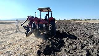 barbechando con tractor Mase y Ferguson doble