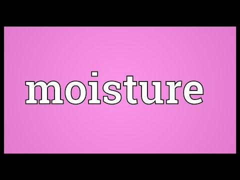 What is the root word for moisture?