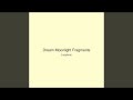 Dream Moonlight Fragments