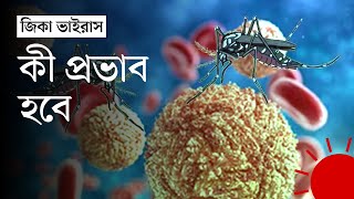 জিকা ভাইরাসের হঠাৎ প্রাদুর্ভাব | Zika virus | Prothom Alo