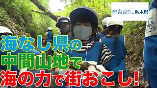 海と日本プロジェクト 海なし県で海のチカラ発見隊 日本財団 海と日本PROJECT in 栃木県 2020 #16