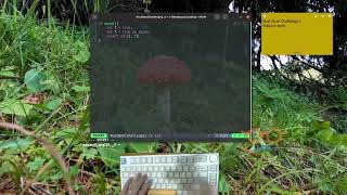 Learning Rust Programming - Bool - Challenge 2 | ASMR Coding