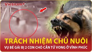 Vụ bé gái bị 2 con chó becgie cắn tử vong ở Vĩnh Phúc: Chủ nuôi sẽ bị xử lý thế nào? | VNP