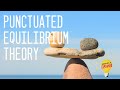 Punctuated Equilibrium Theory Explained!