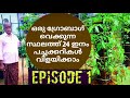 പച്ചക്കറി കൃഷി വലക്കൂടിൽ | Vegetable Cultivation In Terrace | Terrace Farming | soilless farming