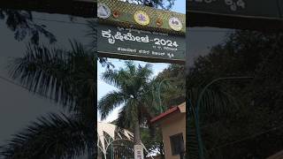 #gkvk ಕೃಷಿಮೇಳ-2024#shorts#amarapuravillagevlogs