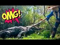 You won’t BELIEVE what’s going on with Jaws the Alligator⁉️⁉️⁉️