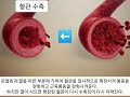 제2편 전위치료기와 온열치료. 자연치유력