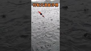 自製新浮標/就是這麼順手~#fishing