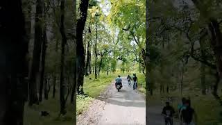 saraswatipur#teagarden#viralvideo#shortvideo