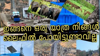 💢 🐘🦌ഒരു യാത്ര പോയാൽ ഇങ്ങനെ പോണം🏔️ || travel for wild life||💢🔆 #youtube #travel #wild life