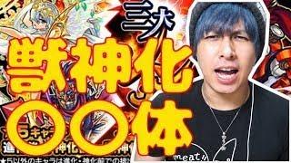 【モンスト】神引き!?三大シンカ論を100連したら進化、神化、獣神化は〇〇体出る!!【ぎこちゃん】