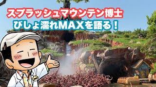 【解説\u0026レポート】スプラッシュマウンテン びしょ濡れMAXの研究