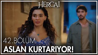 Aslan, Reyyan'a yardım ediyor! - Hercai 42. Bölüm