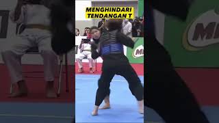 Teknik Menghindari Tendangan T