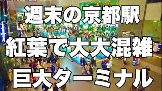 【4K】2024年11月24日（日）週末の京都駅。紅葉で大大混雑の巨大ターミナル！周末的京都站。巨大的航站楼挤满了秋叶！Kyoto Station on the weekend japan.