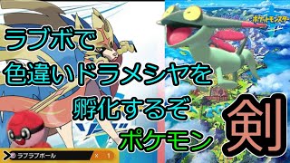 色違いのドラメシヤを孵化厳選するぞ 　その2【ポケモン ソード】