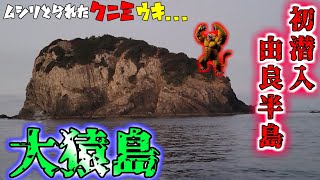 由良半島大猿島へ！深棚でまさかのオナガ！！！