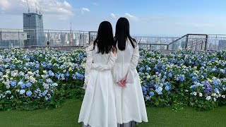 乃木坂46 「ここにはないもの」🕊