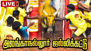 🔴Live : Alanganallur Jallikattu 2023 | அலங்காநல்லூர் ஜல்லிக்கட்டு சிறப்பு நேரலை | IBC Tamil