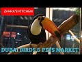 Dubai Birds and Pets Market|| Pets Market Dubai|| Dubai Birds Market