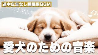 犬が落ち着くリラックス音楽（途中広告なし） / 12時間BGM / お留守番 / 雷対策 / 愛犬リラックス