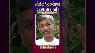 😱లైఫ్ ఎముకలు గుల్లబారకుండా ఉంచే రహస్యం 👌💯 #ytshorts #shorts #healthyhome #yt #ramchandra #bones