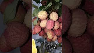 The famous Sahi Litchi🤤❤️#shorts #viral #viralshort #trending#trendingshorts #fruit #litchi