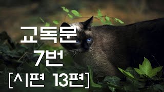 교독문낭독 7번 시편 13편 [Heritage of faith]