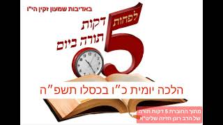 5 דקות תורה, הלכה יומית כ״ו בכסלו תשפ״ה, האם מותר להוציא דג בשבת מהאקווריום? האם מותר להרים צב בשבת?