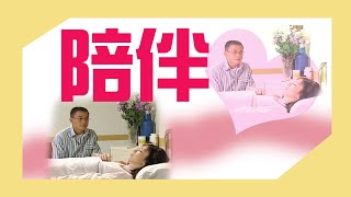 經典戲劇【流氓教授 】把馬子最好的方式就是陪伴