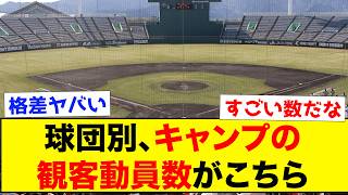 【最初の2日間】球団別、キャンプでの観客動員数がこちらww【なんJ反応集】