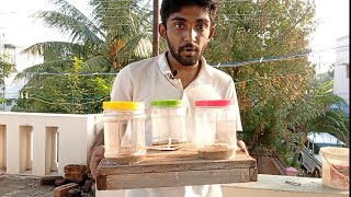 How to tame ants🐜,How to make ant farm🐜 in tamil |Surya Kumar Talkies|