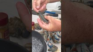 How to clean out a yabby tail #yabbies #crayfish #crawfish #catchandclean