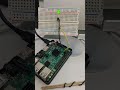 168. NetBSD + Rpi3B+, exercise (HAL.2001) dim ramp