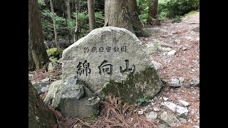 綿向山【鈴鹿山系】2019.6.1