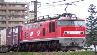 ﾚｯﾄﾞｻﾝﾀﾞｰEF510-8牽引3098ﾚ　札幌→福岡