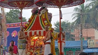 Sarva Bhupala Vahanam/Swarna Rathotsavam/padmavathi  ammavaari  brahmotsavam  2024