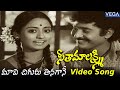 Seetha Maalakshmi Movie Songs | Maavi Chiguru Tinagane Video Song |Chandra Mohan,Talluri Rameshwari