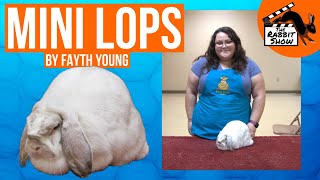 Mini Lops by Fayth Young - National Best of Breed breeder