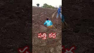 పత్తి కథ cotton story Sri Telugu