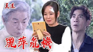 天道 EP281預告 麗萍背負黑書詛咒 可能引來奪命危機？｜ @setdramatw