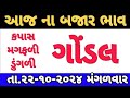 commodity prices 22-10-2024 Gondal marketing yard na bhav|ગોંડલના ભાવ | saurashtra aajn bajar bhav