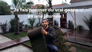 Je fais Pousser du Gazon en une Journée !!! EP 8