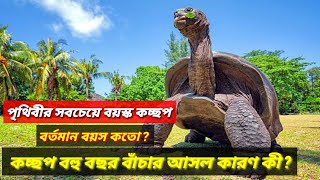 ১৯০ বছর বয়স্ক কচ্ছপ জনাথন। পৃথিবীর সবচেয়ে বেশি বয়স্ক কচ্ছপ।