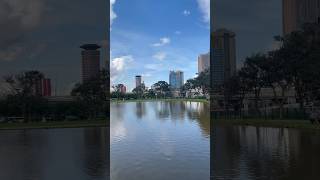 Scenic Views of Nairobi city 🇰🇪 follow me for more shorts videos #nairobikenya  #vlog #uhurupark