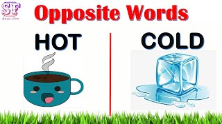 Opposite words | opposite words for preschoolers | Educational video | Antonym for kids | English