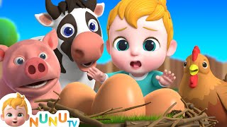 Farm & Domestic Animal Song | Nursery Rhymes & Kids Songs | NuNu Tv